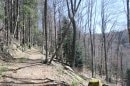 Montée au Ballon (GR5)
